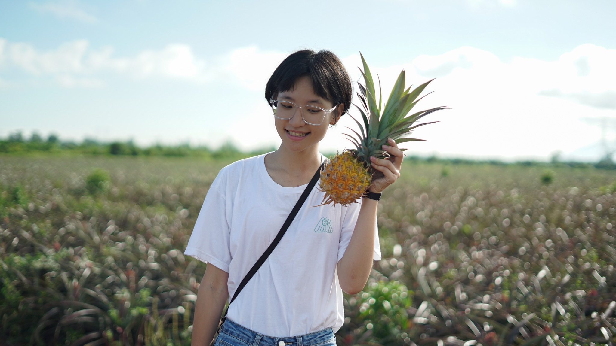 笨珍知音