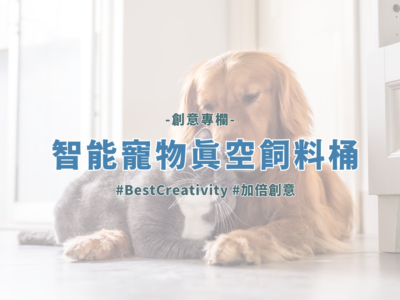 [ #BestCreativity #加倍創意 ] 每週創意精選... - Best Modules 倍創科技