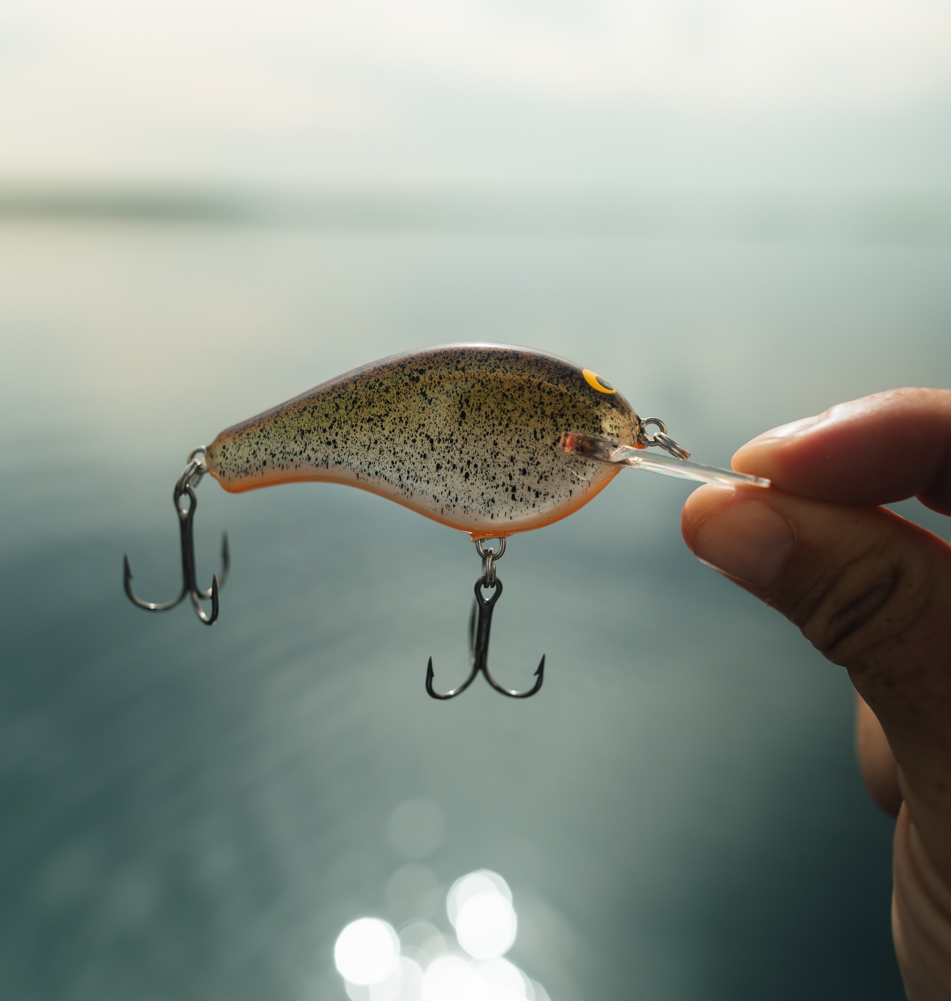 bagley balsa b lure in rainbow trout Wake (Choose Color)  My Bait Shop, LLC but in a shallow diving design The Flat Balsa B2 is