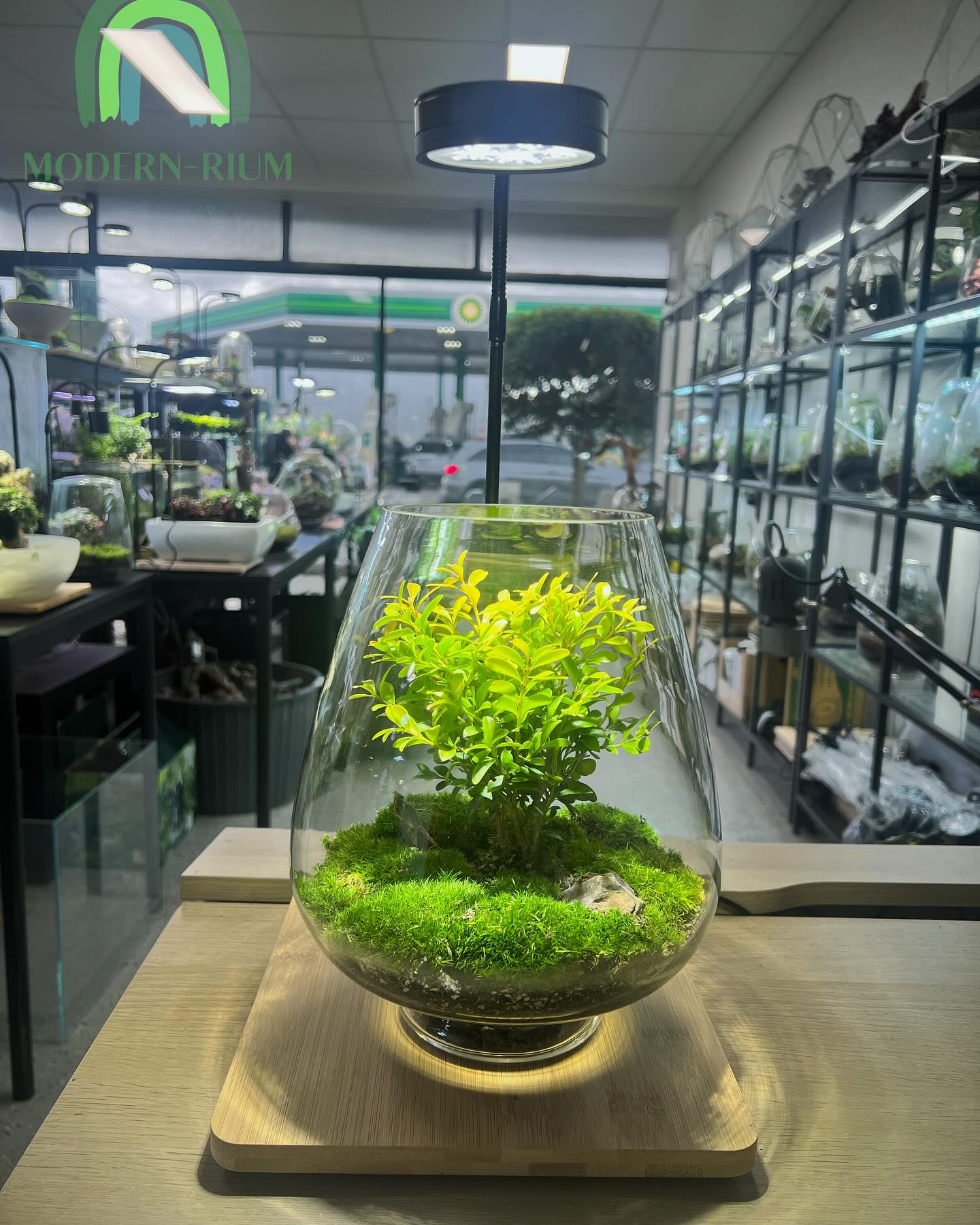 Modern-rium - ——. EcoCourier Range —— 10% off 🎉 New Launch Alert 🌿 🎉 We ...