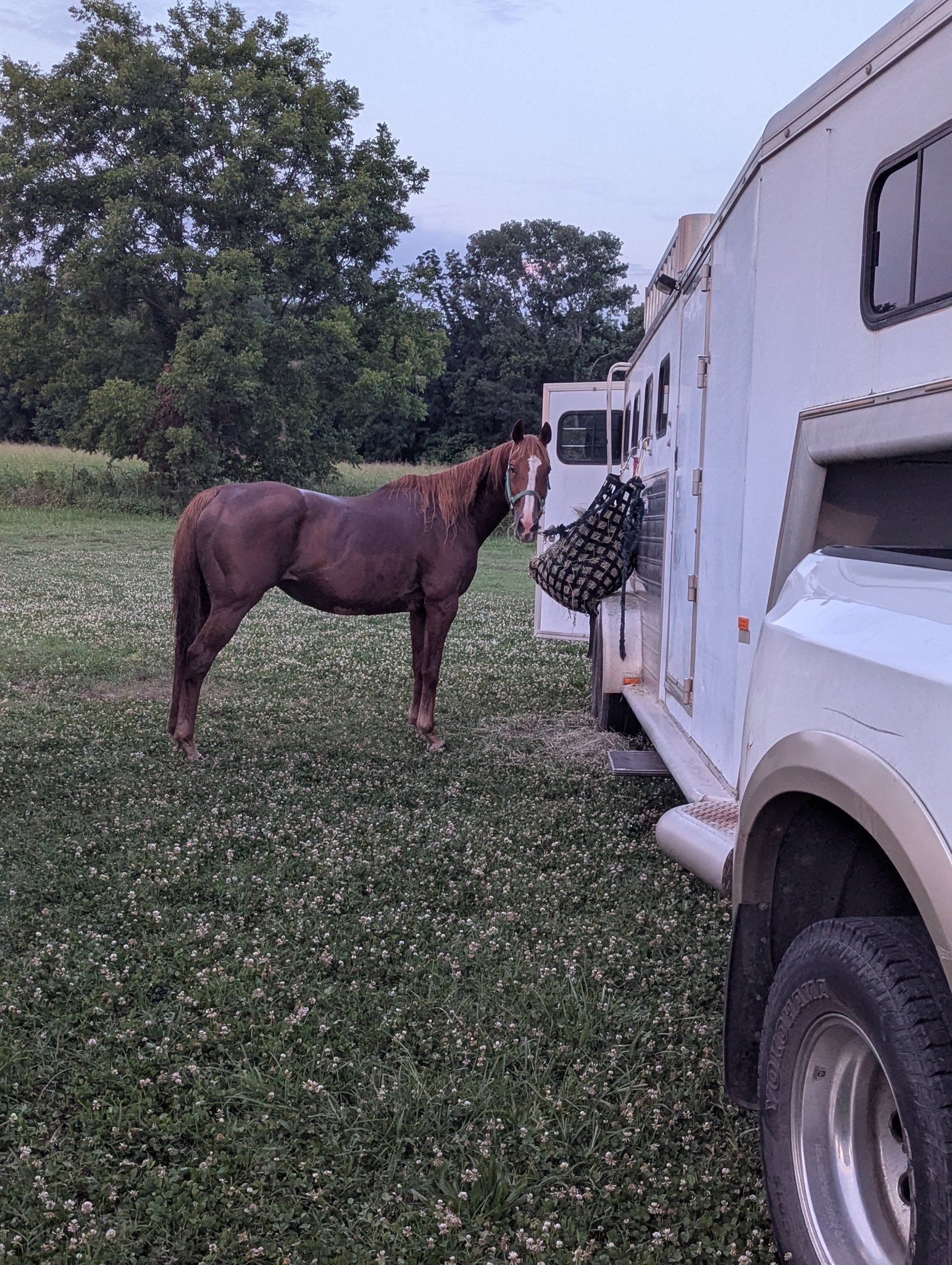 Rafter Running M Ranch | Oologah OK