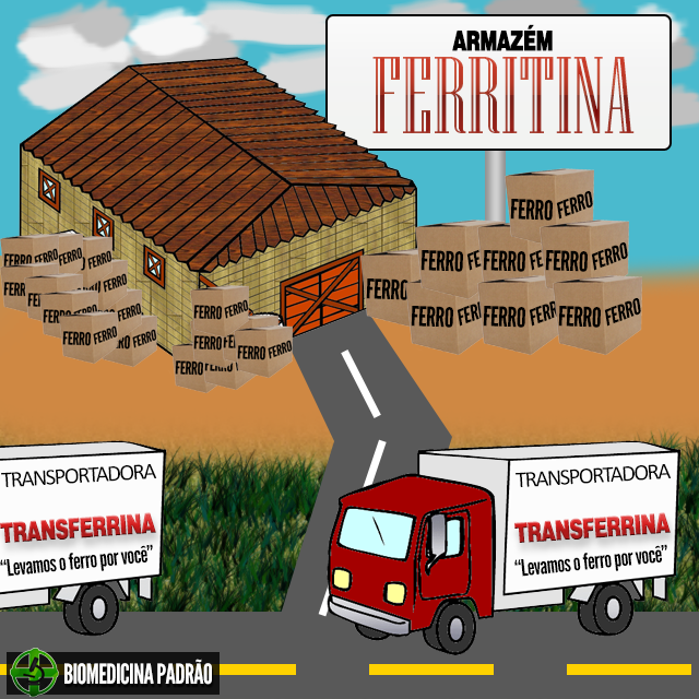 #SIDEREMIA #FERRITINA &... - Laboratorio Bioanalisi