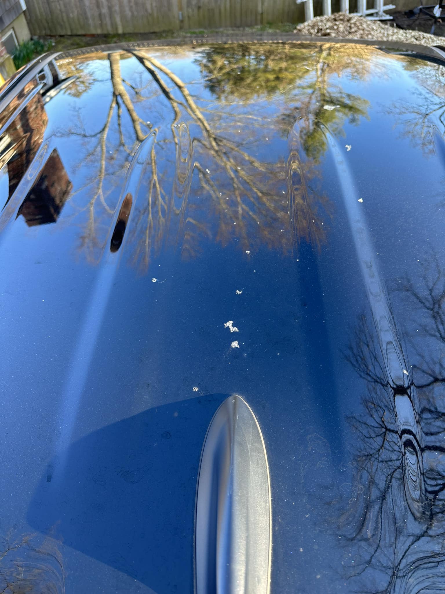 Paint peeling off 2022 Palisade in SoCal
