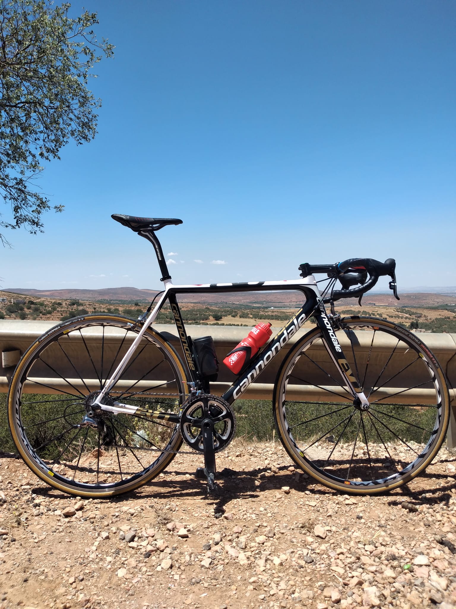 Cannondale Supersix Evo HiMod road bike for sale