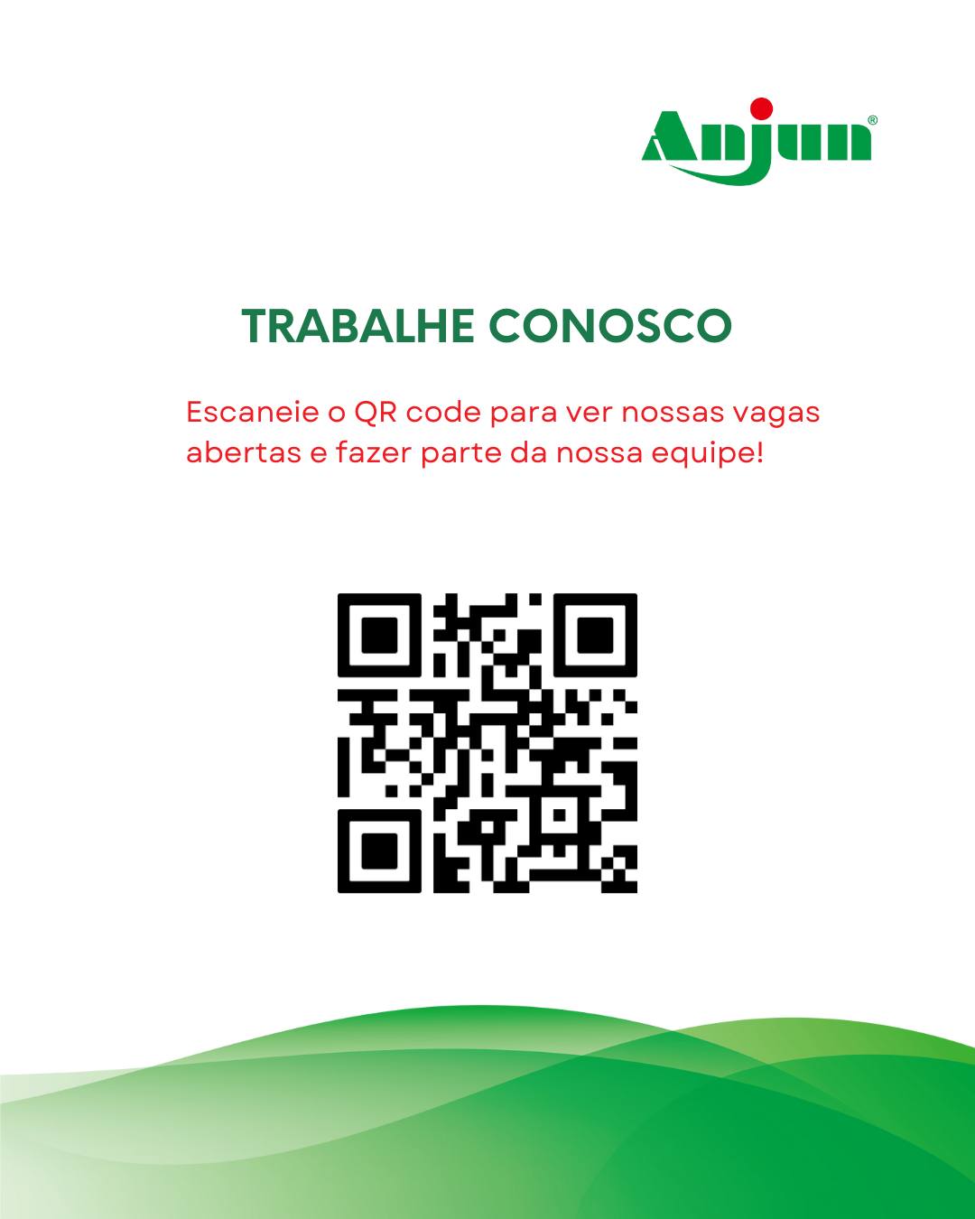 Anjun Express | São Paulo SP