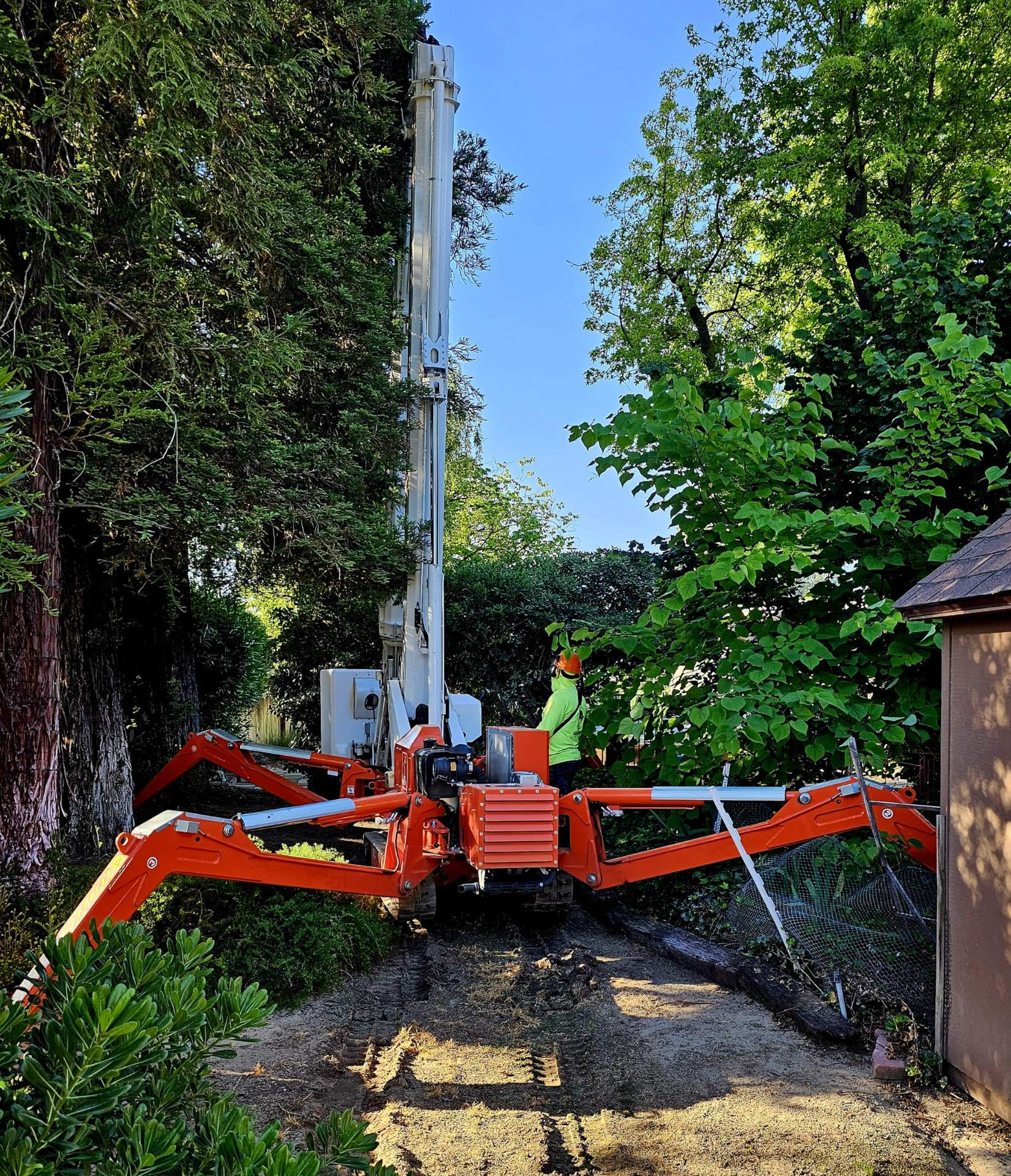 Anderson Tree Service | Merced CA