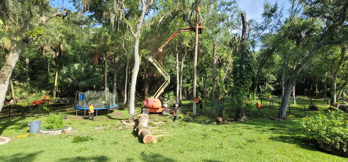 Wade’s tree service | Plant City FL