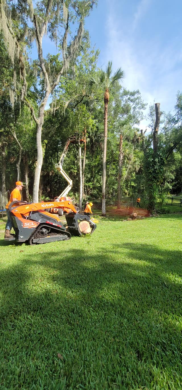 Wade’s tree service | Plant City FL
