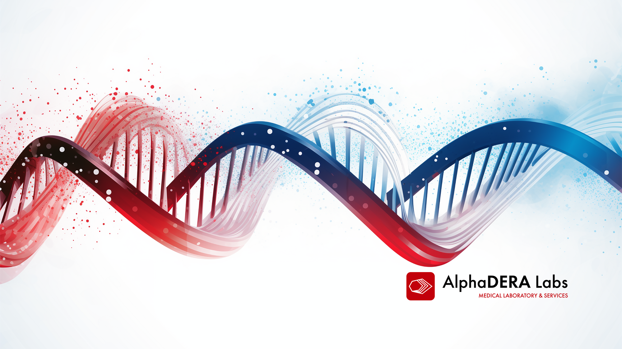 AlphaderaLabs | Houston TX