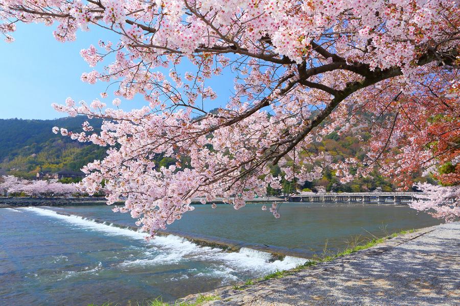 Japaning Hotel... - Japaning Hotel Modany Kyoto Enmachi