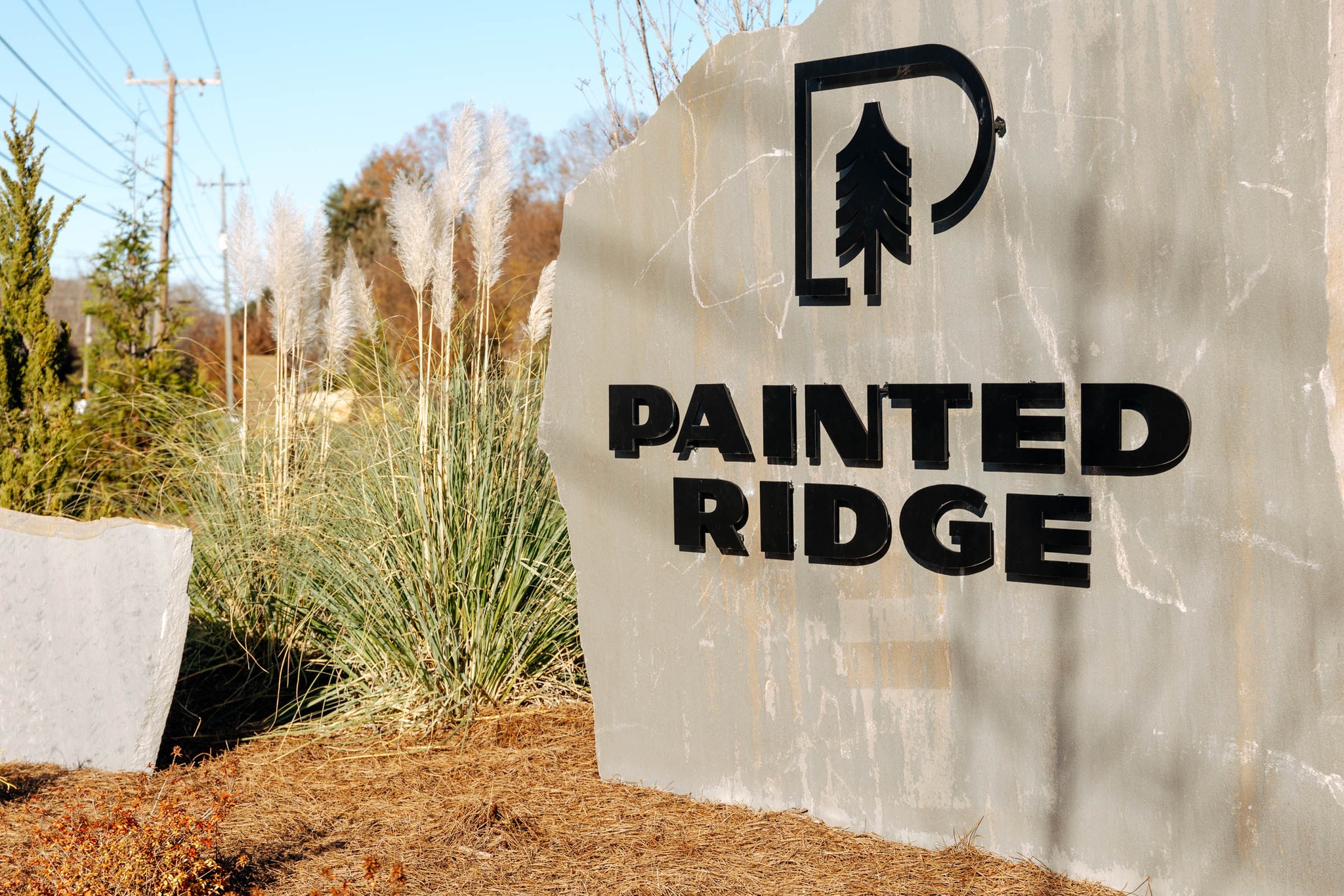 Painted Ridge | Chattanooga TN