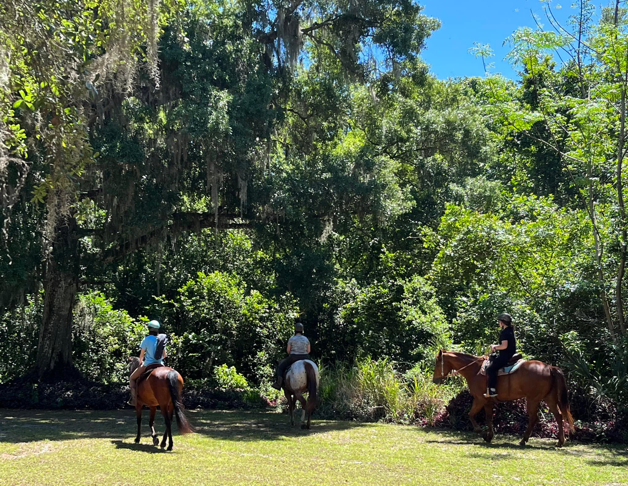 Threshold Farm | Titusville FL