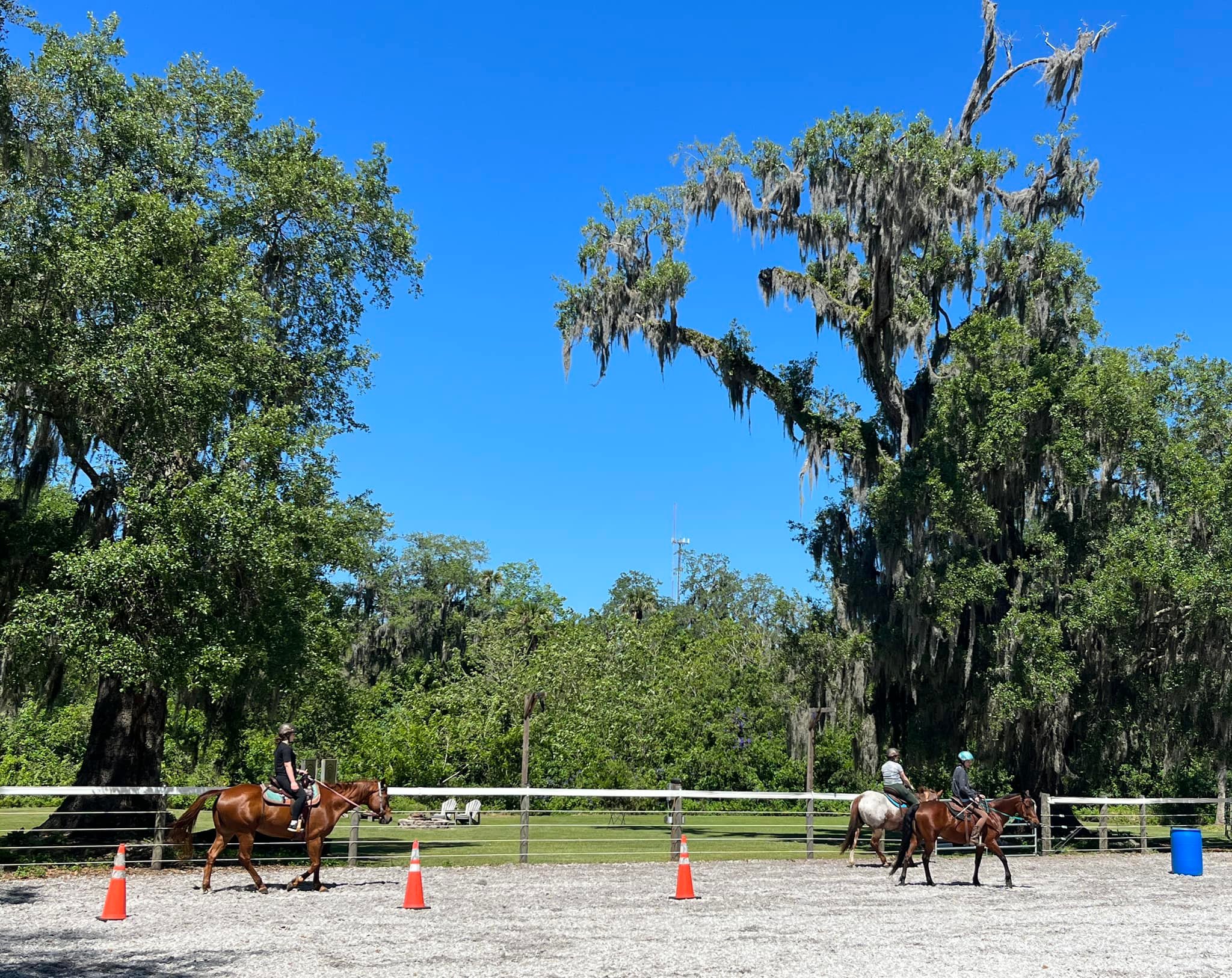 Threshold Farm | Titusville FL