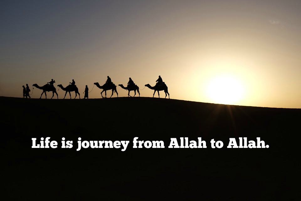 M R Islam