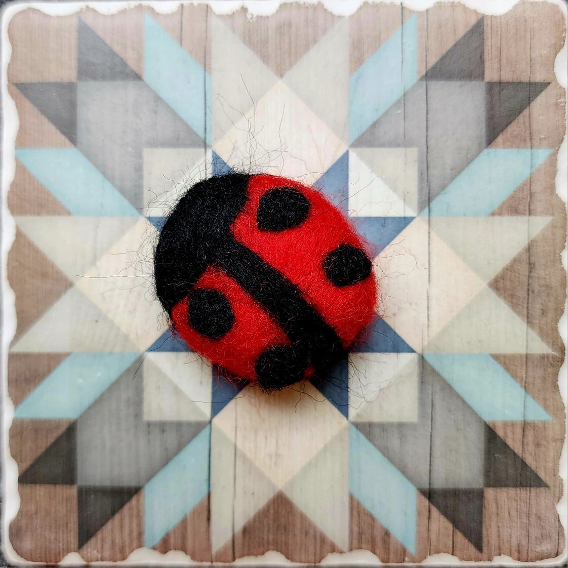 The Quilted Bug - Curves!!!! Well, I was going along... | Facebook