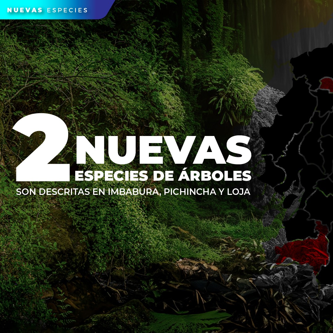 🌎🇪🇨... - Instituto Nacional de Biodiversidad - Ecuador