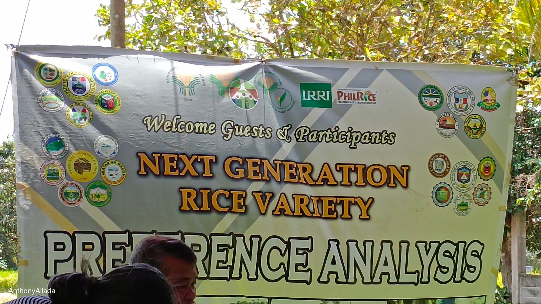 LGU Magsaysay - NEXT GENERATION RICE VARIETY PREFERENCE... | Facebook