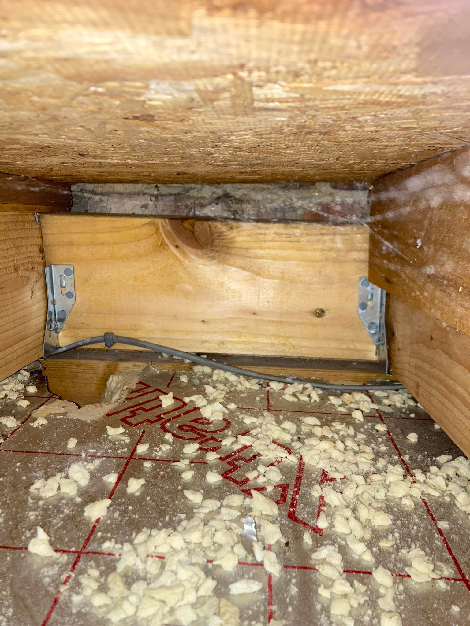 So you often hear me say rats are... - Pest Arrest Derby