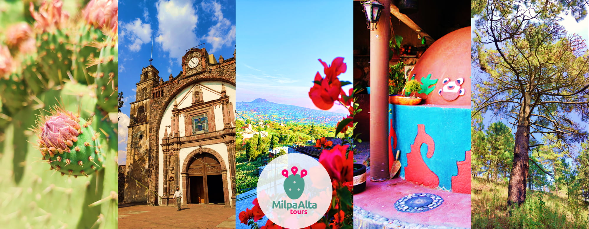 TEDx Milpa Alta - El arbol de Colorín, pemuche, machete, pichoco ...