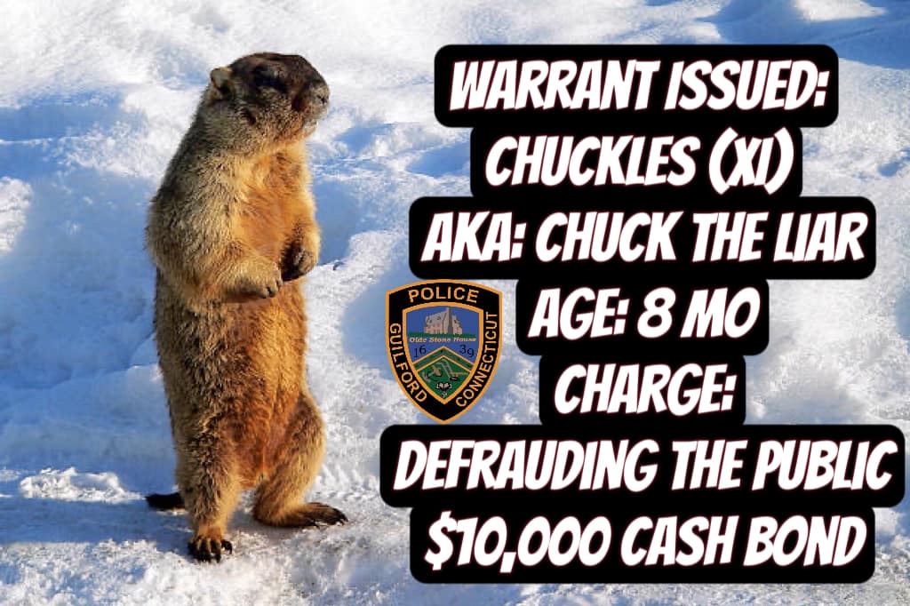 If anyone has seen this... - Guilford Police Department | Facebook