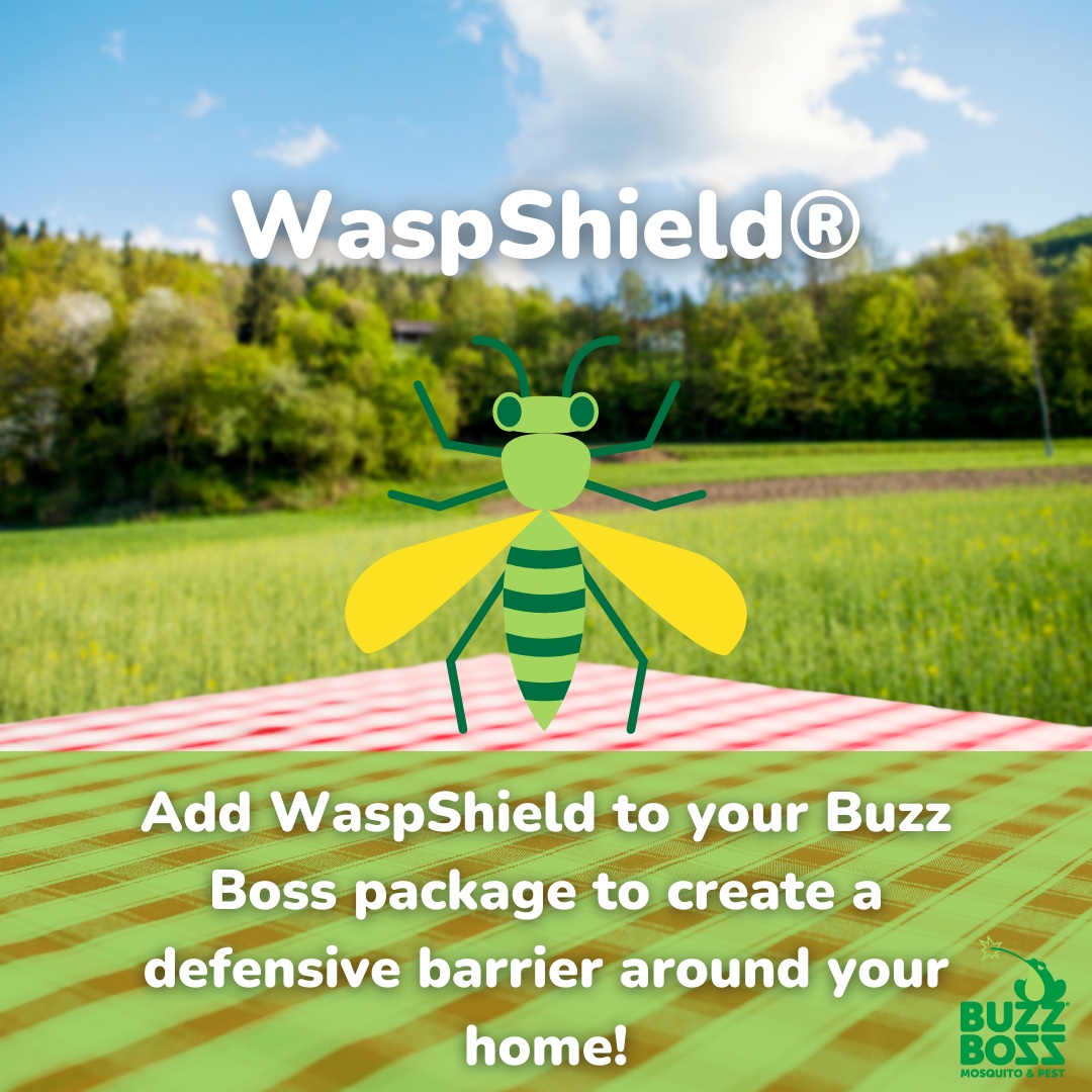Buzz Boss - Subscriber News! 📢 Check your inbox for your... | Facebook