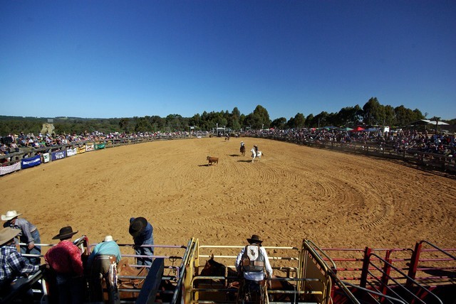 HARVEY DICKSON RODEO 2026