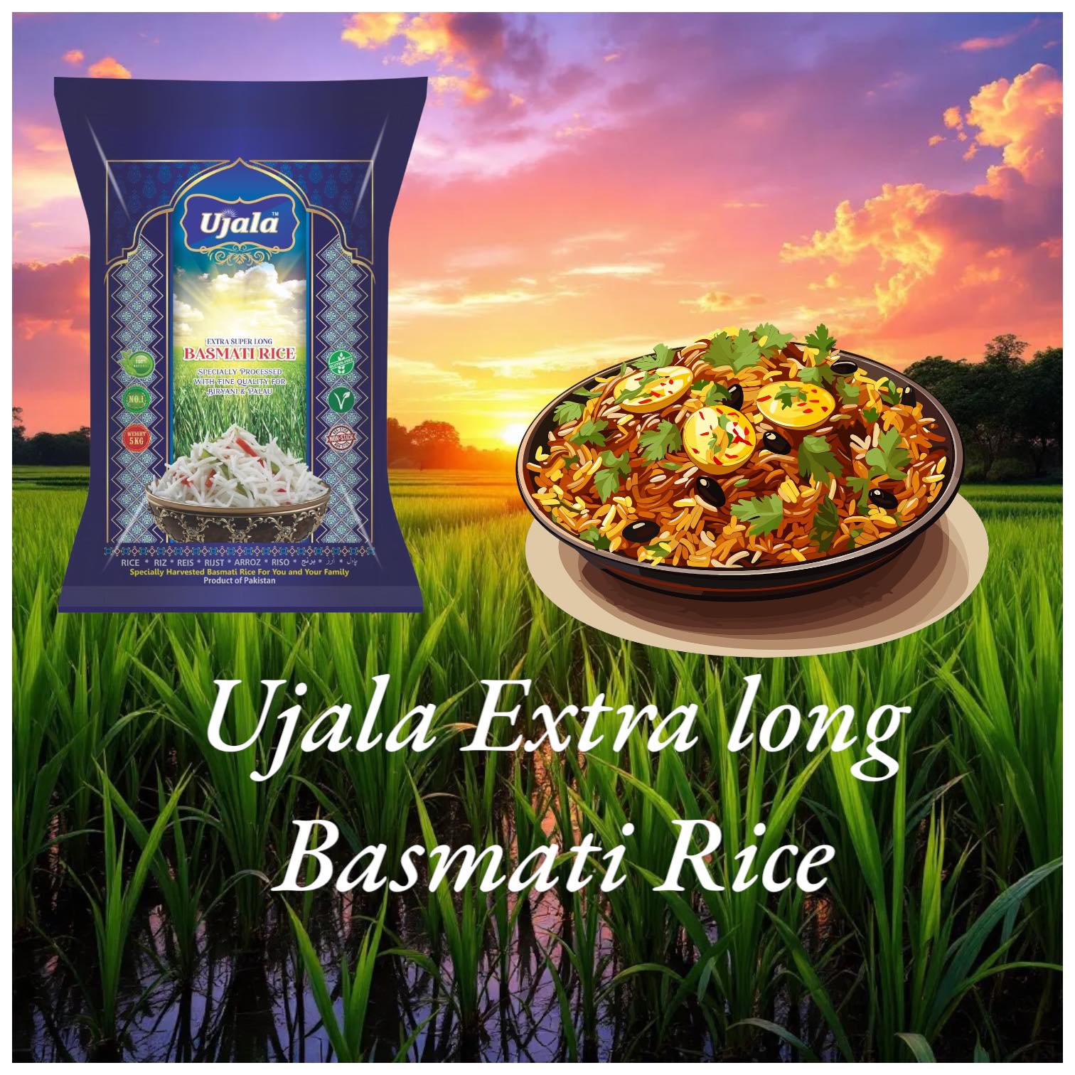 Ujala Basmati Rice