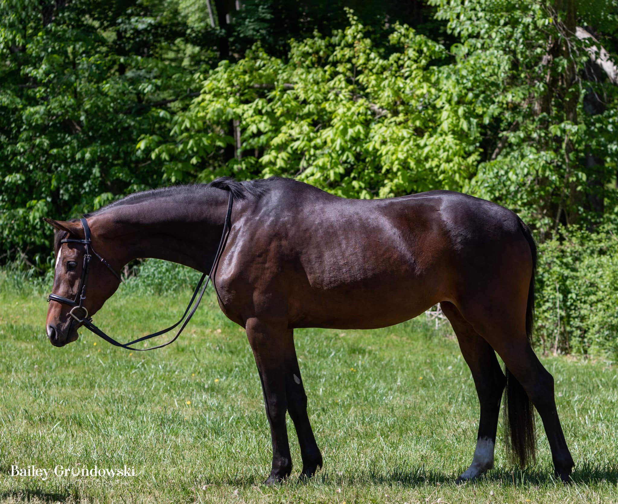 Stone ridge farm | Benton PA