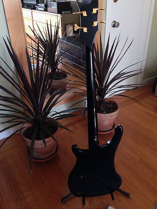 Fallen Angels Vintage Musical Instruments | Burlington ON