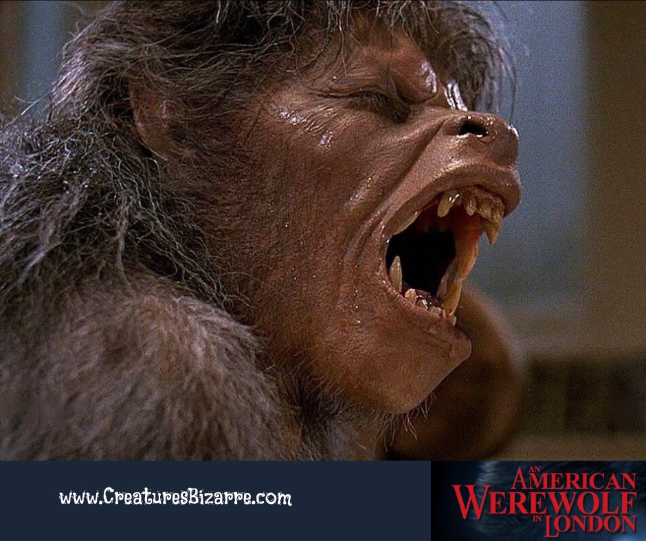 American Werewolf in London (1981). 'See you Next Wednesday' plays