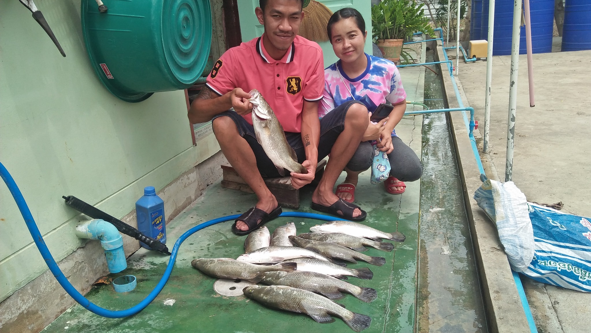 พาลูกค้าเข้าบ่อมา กดไป11ตัวจ้า สนใจบ่อ... - Tik Gee Fishing | Facebook