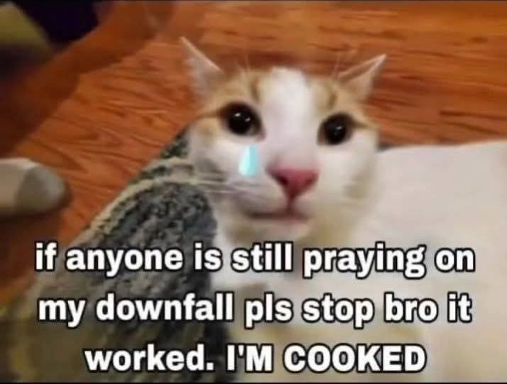 Grumpy - Please stop ️ | Facebook