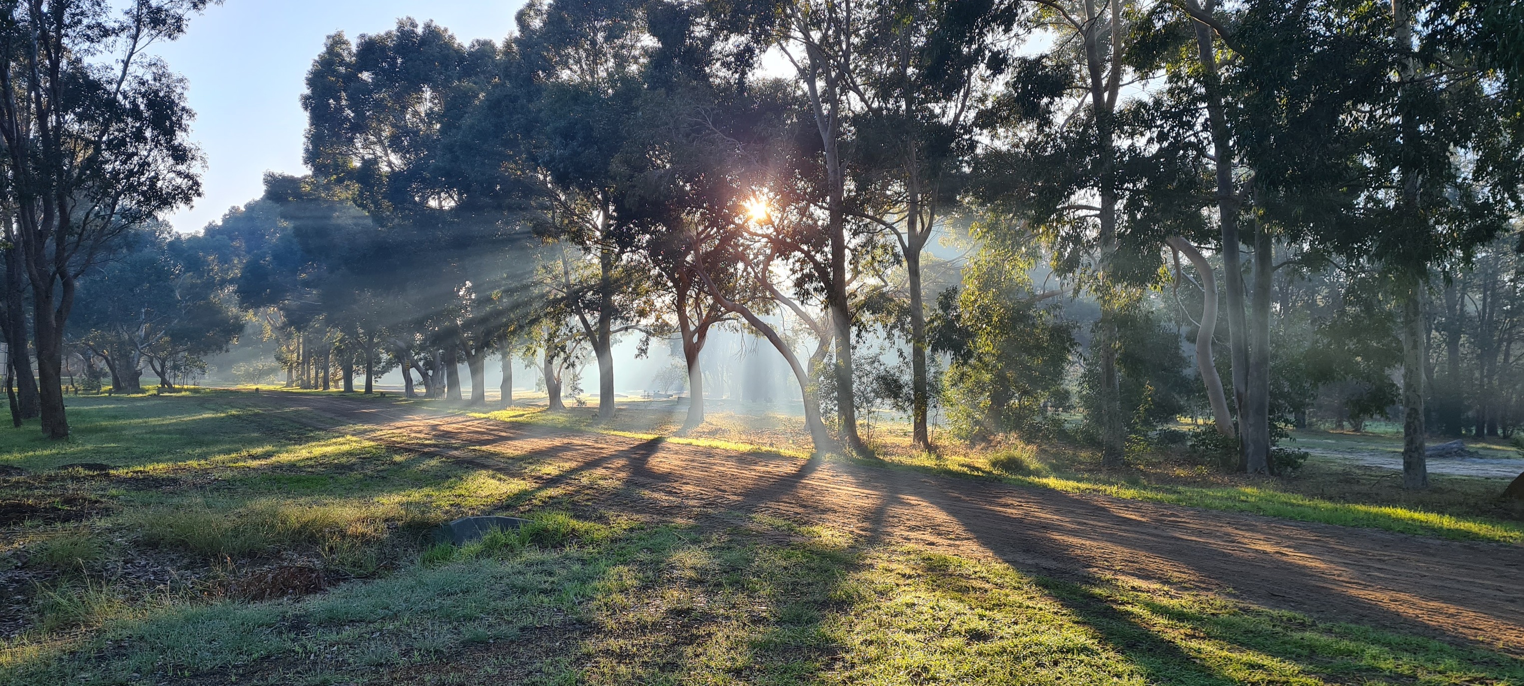 Darling Downs Residents Association | # ***THOMAS ROAD EXPANSION ...