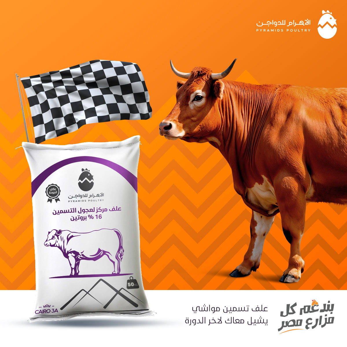 ‎الاهرام للدواجن -... - الاهرام للدواجن - Pyramids Poultry