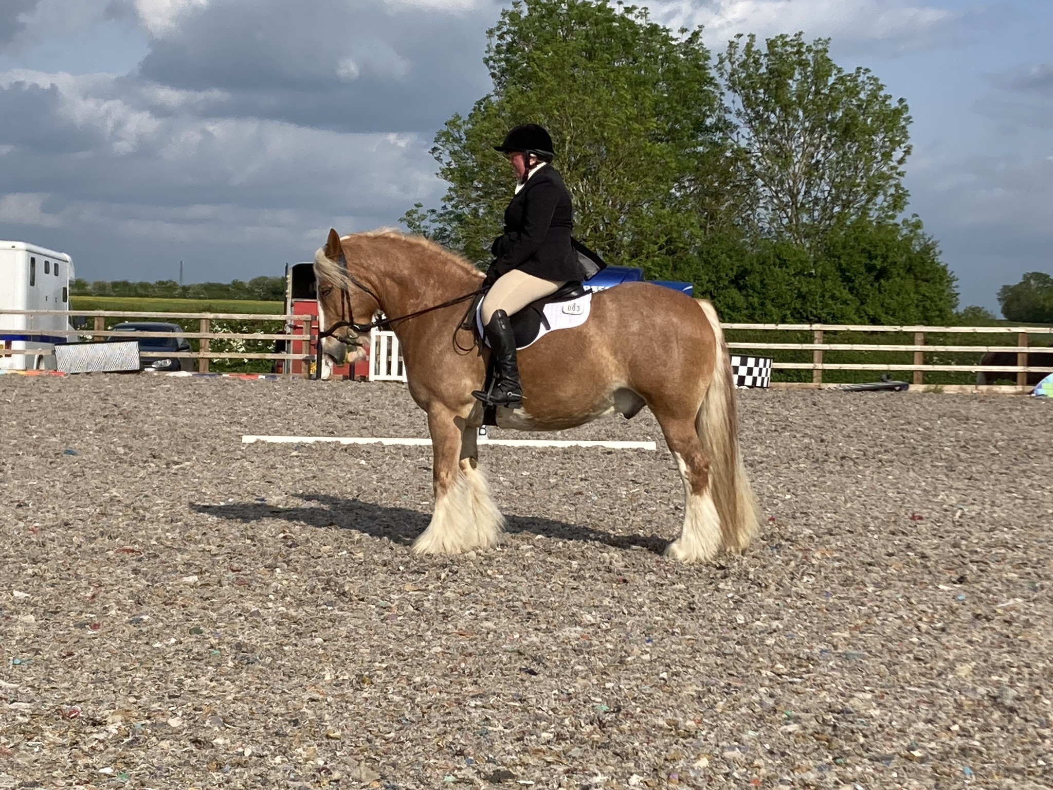 Milton Keynes Riding Club | Milton Keynes