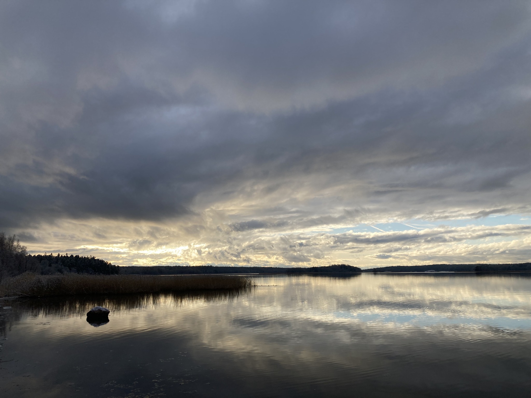 Raseborgs Natur rf, Raaseporin Luonto ry