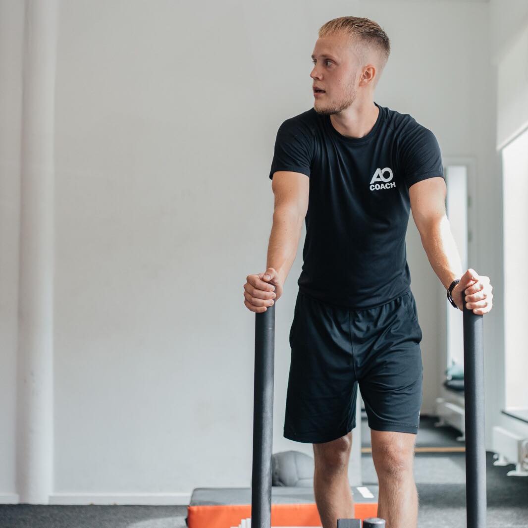 Similar to locomotion, stability includes a wide range of movement ...