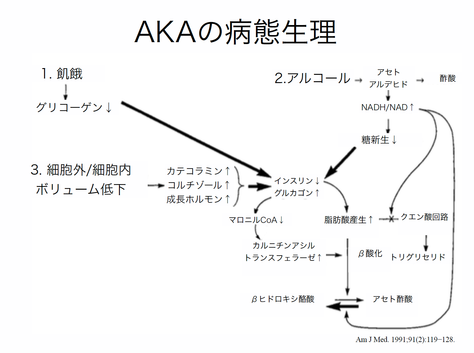 練馬光が丘病院 総合診療科 やすもと先生が未だ謎多き疾患 アルコール性ケトアシドーシス Aka について5分間レク Facebook