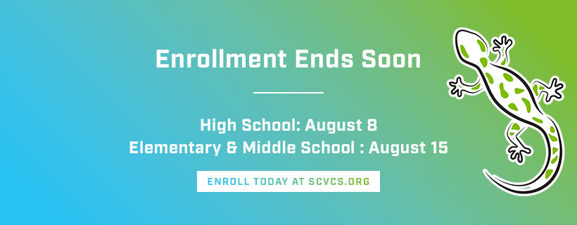 South Carolina Virtual Charter School