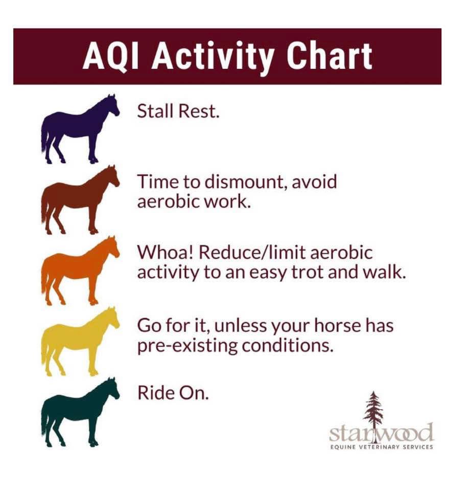 Canadian Recreational Horse and Rider Association