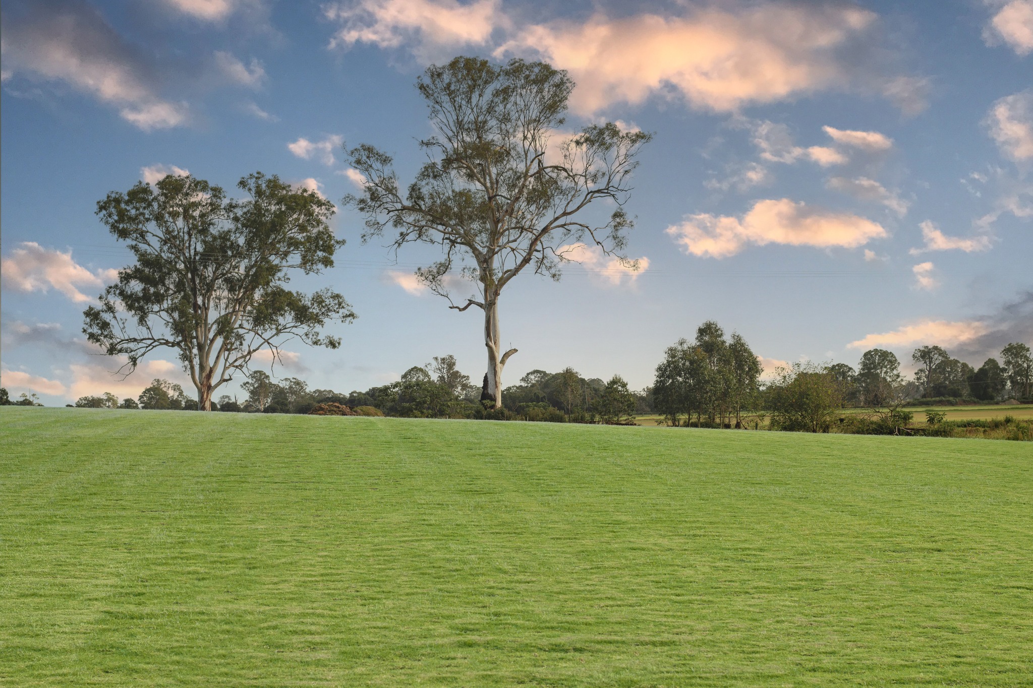 AusGAP - Did you know that AusGAP's certification process is designed ...