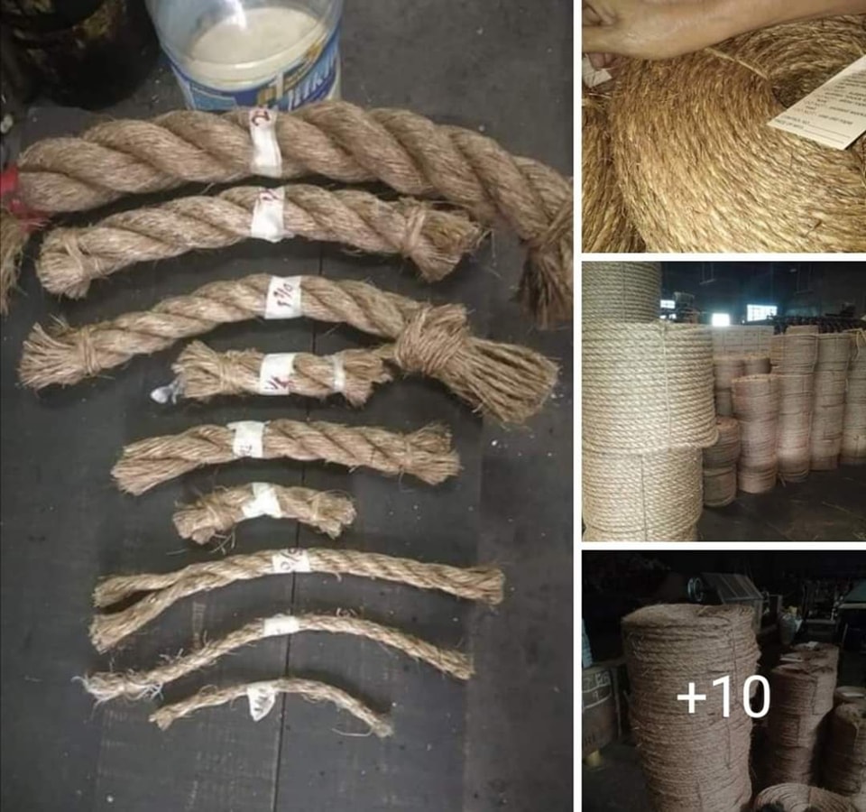 ABACA ROPE for sale