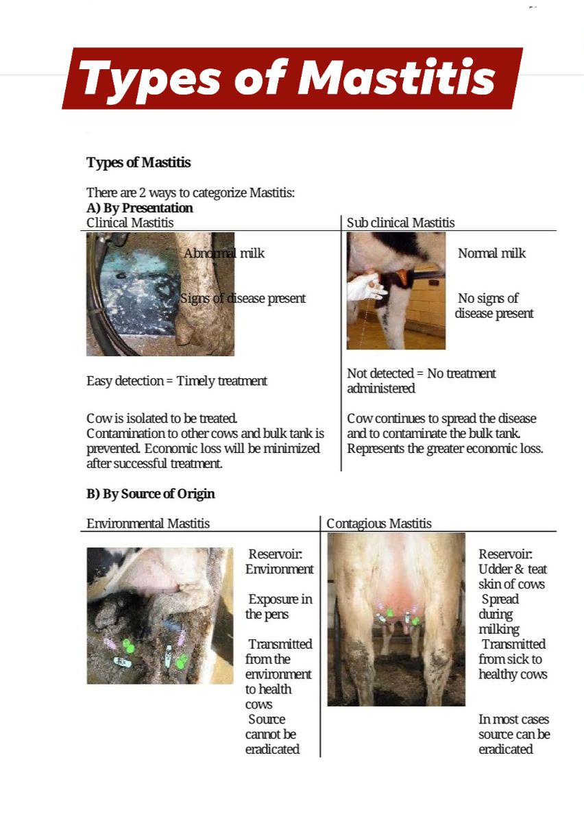 Types of Mastitis - Veterinary Information | Facebook