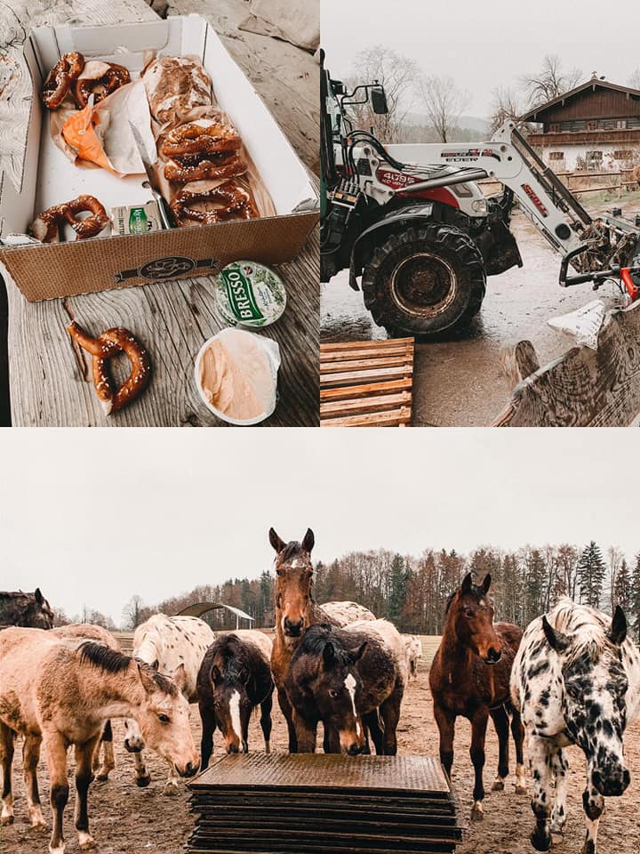 Green Hills Appaloosa Ranch... - Green Hills Appaloosa Ranch