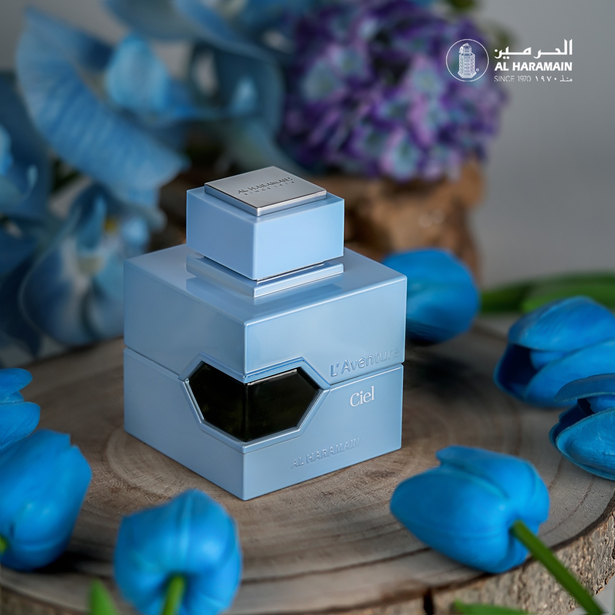 Unleash your senses and embark on a cosmic adventure with Haramain