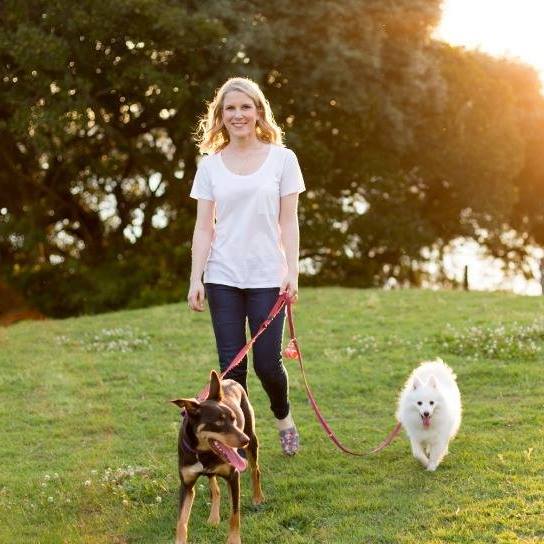 The dog who barks, lunges or growls. The cat who hides, scratches or ...