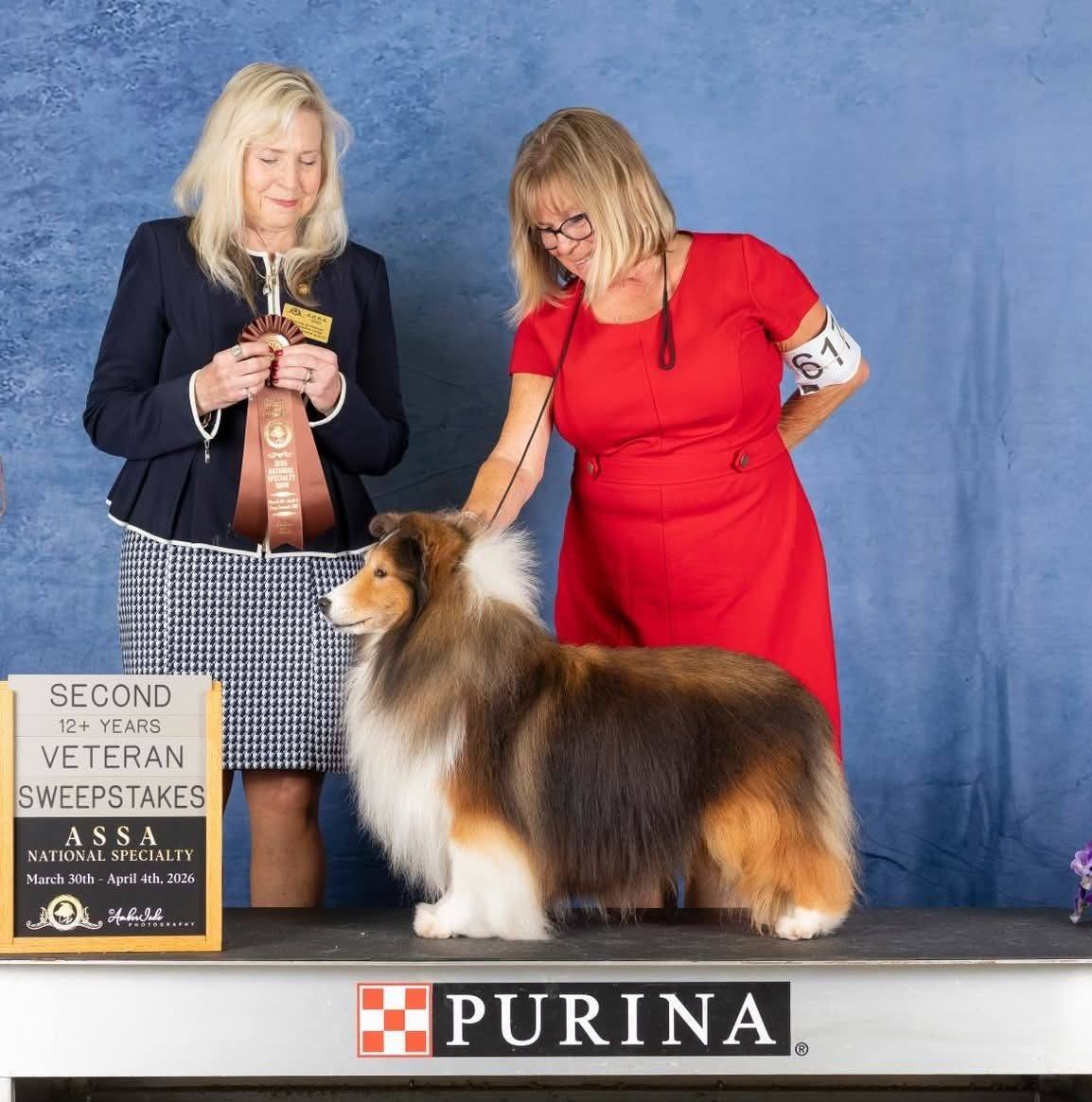 Midwest Sheltie Group | Pedigreelines.com - anyone have issues with ...
