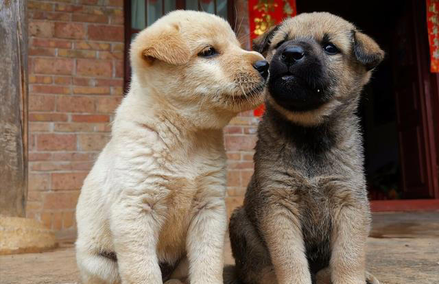 China Fun - Who is the most popular “good boys” in China?... | Facebook