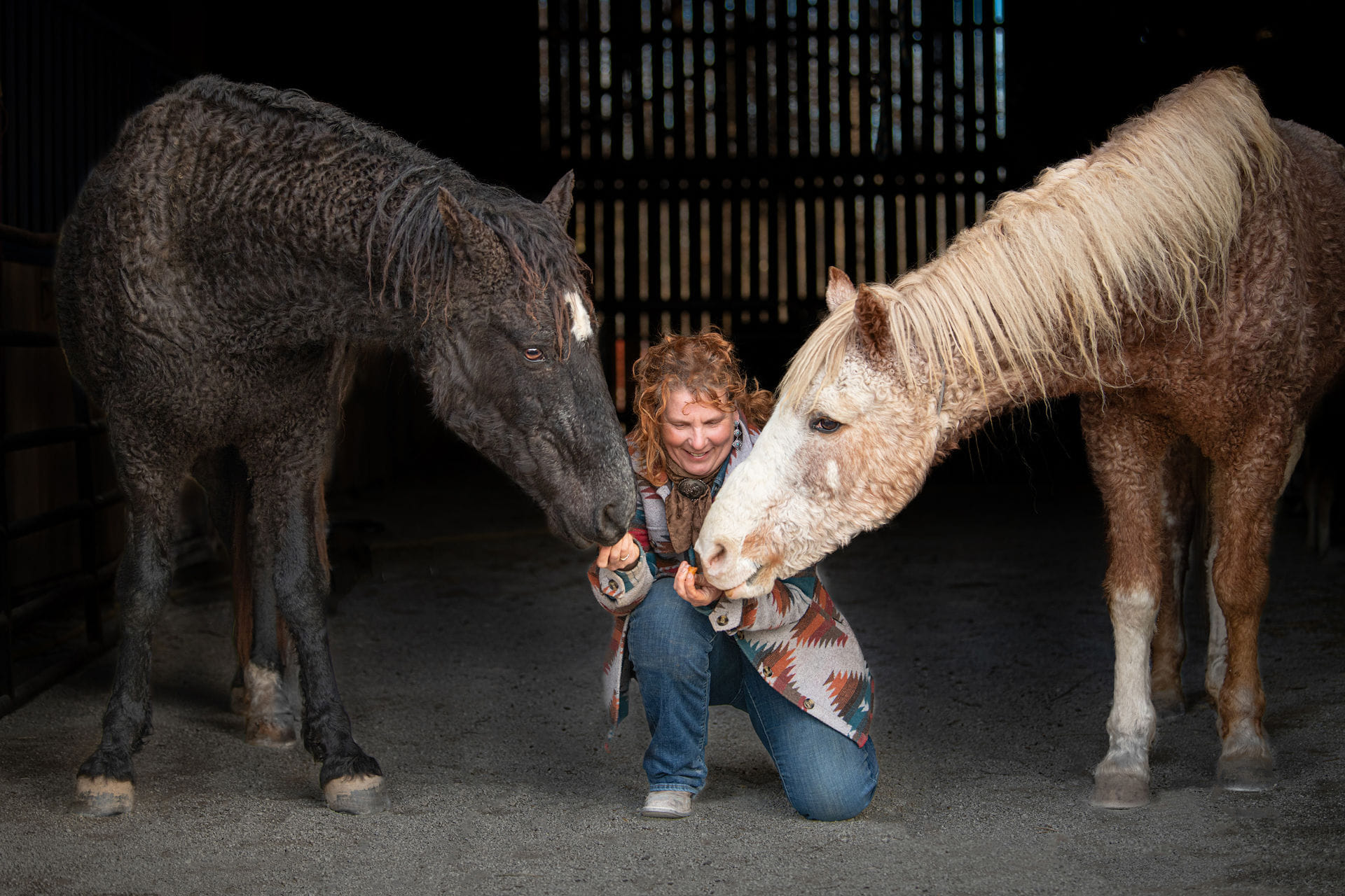 Hidden Cave Horses and Highlands