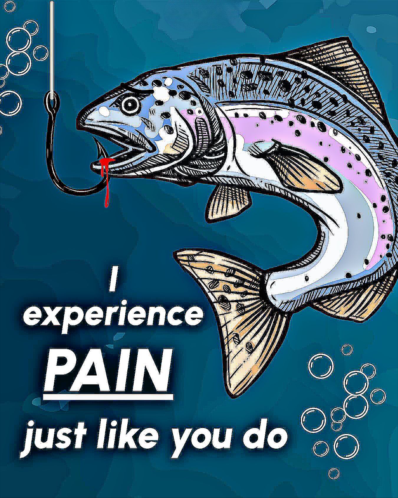 chest decompression with fish hooks scene DOITOOL Tank Decor Treasure Diver Aquarium Ornament Decorative Fish Tank Accessory for Aquariums Desktop Displays and Underwater Setup 4.33X3.54X2.36In : Pet Supplies Broken-Heart Coma | Fish Hooks